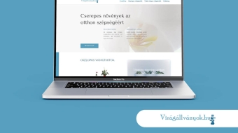 referencia_viragallvanyok